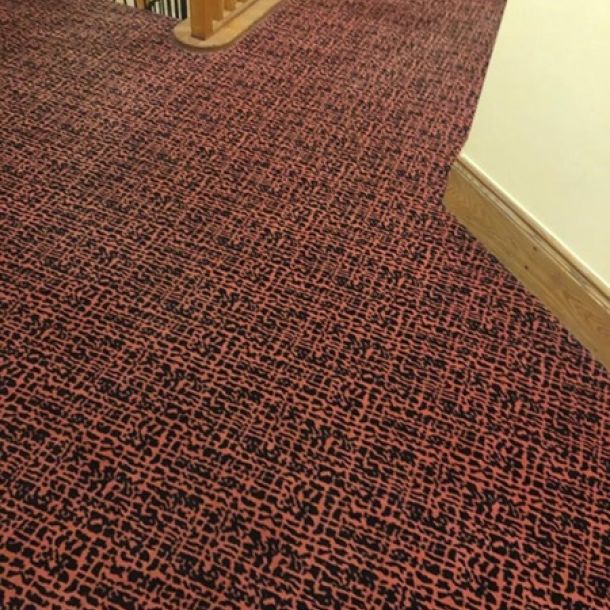 carpet in apt complex on cunningham rd